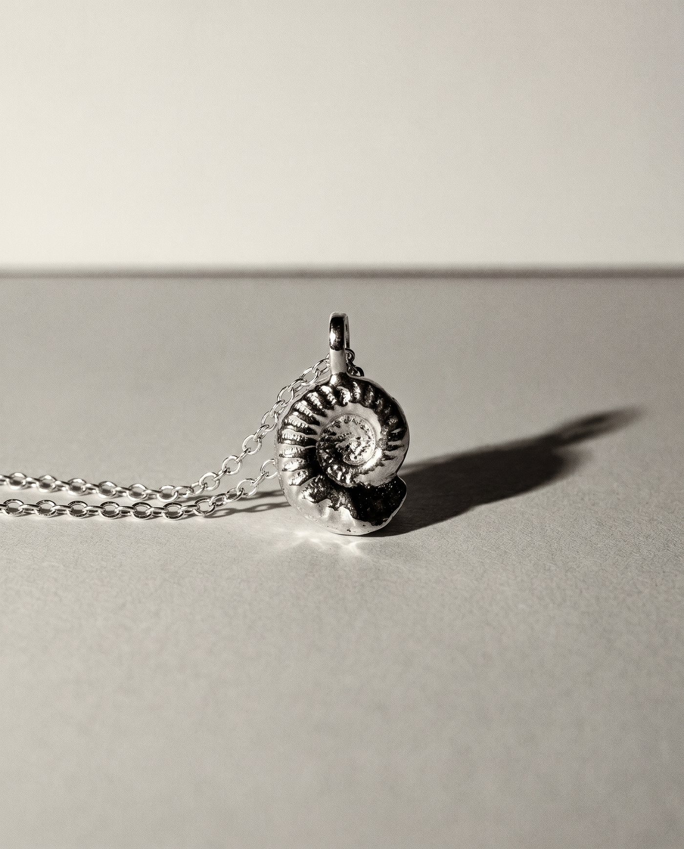 Ammonite Fossil Pendant